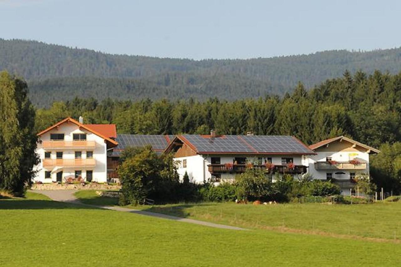 Exenbacher Hof - Pension Arnbruck Extérieur photo